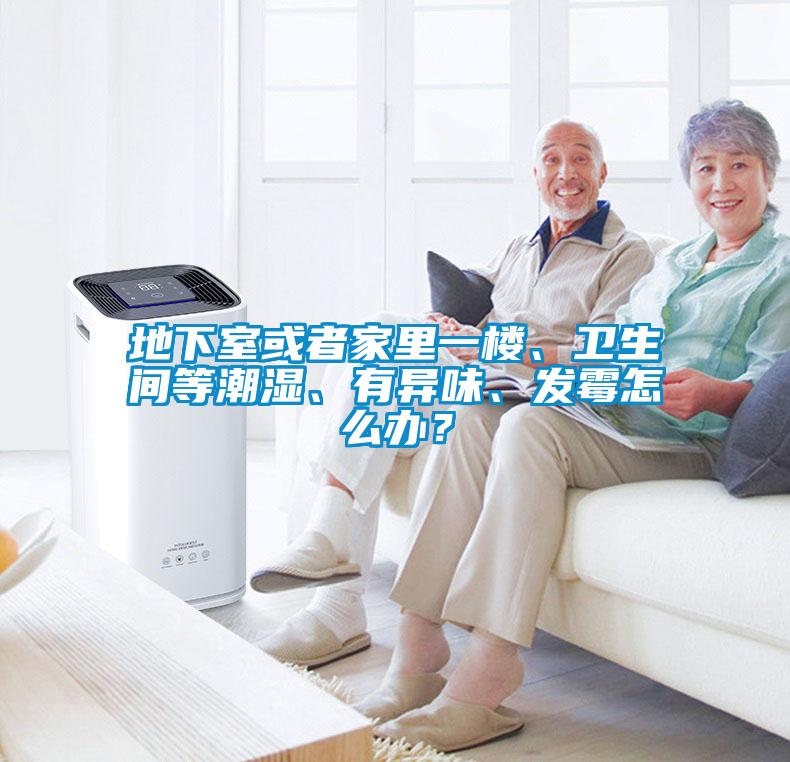 地下室或者家里一樓、衛生間等潮濕、有異味、發(fā)霉怎么辦？