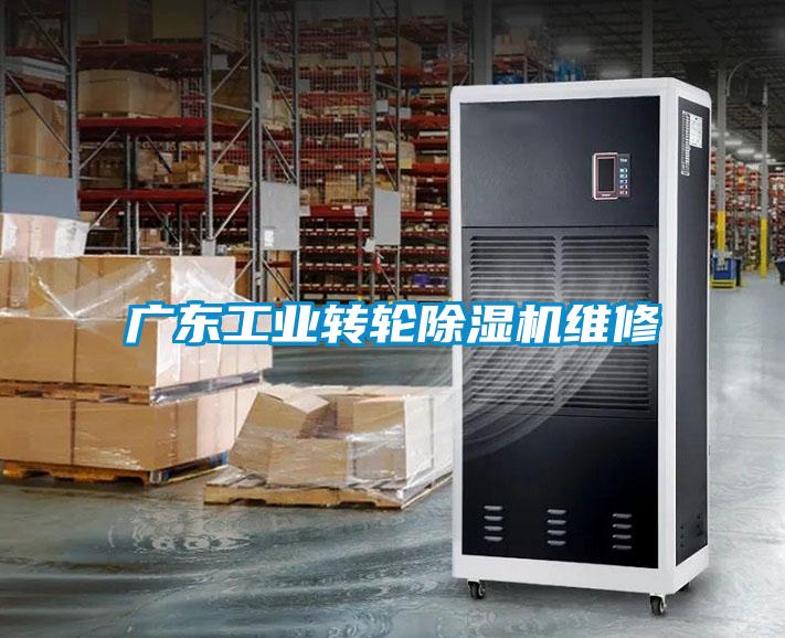 廣東工業(yè)轉輪除濕機維修