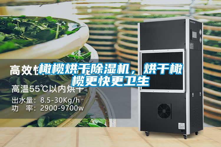 橄欖烘干除濕機，烘干橄欖更快更衛生