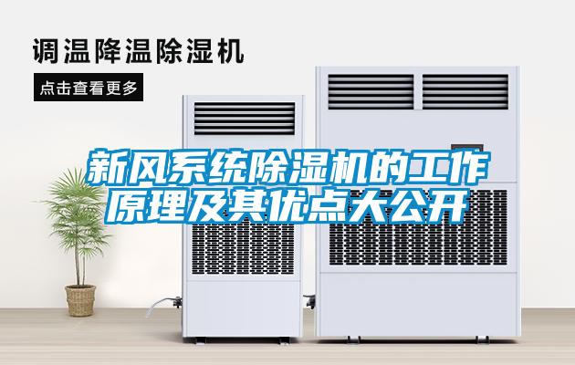 新風(fēng)系統除濕機的工作原理及其優(yōu)點(diǎn)大公開(kāi)
