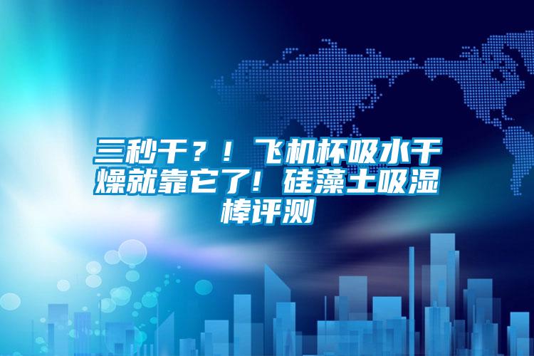 三秒干？! 飛機杯吸水干燥就靠它了! 硅藻土吸濕棒評測