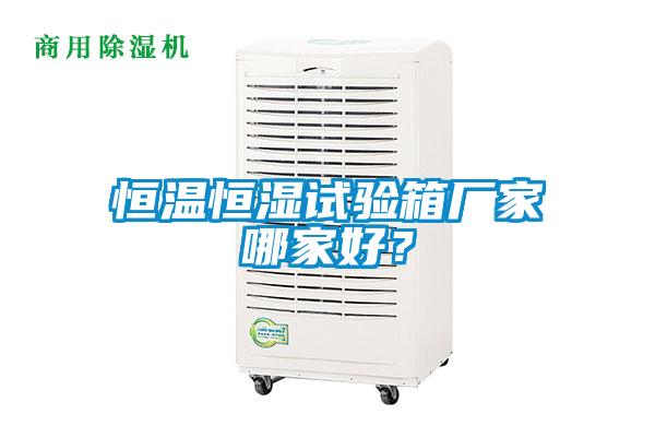 恒溫恒濕試驗箱廠(chǎng)家哪家好？