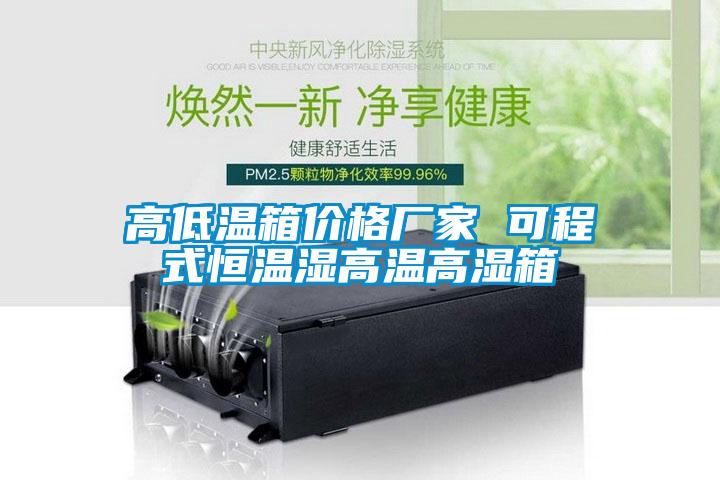 高低溫箱價(jià)格廠(chǎng)家 可程式恒溫濕高溫高濕箱