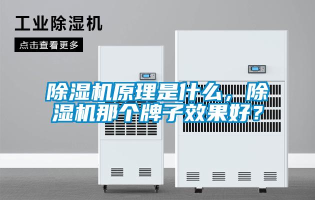 除濕機原理是什么，除濕機那個(gè)牌子效果好？
