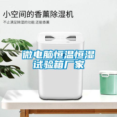 微電腦恒溫恒濕試驗箱廠(chǎng)家