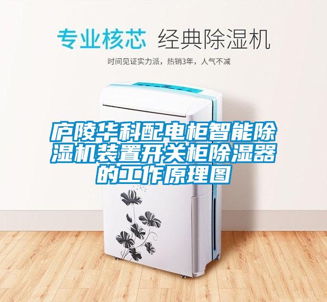 廬陵華科配電柜智能除濕機裝置開(kāi)關(guān)柜除濕器的工作原理圖