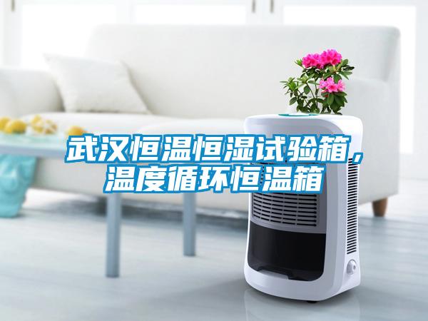 武漢恒溫恒濕試驗箱，溫度循環(huán)恒溫箱