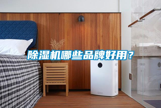 除濕機哪些品牌好用？