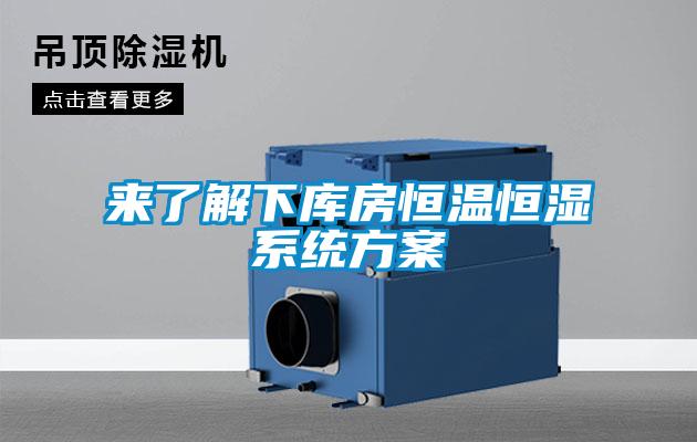 來(lái)了解下庫房恒溫恒濕系統方案
