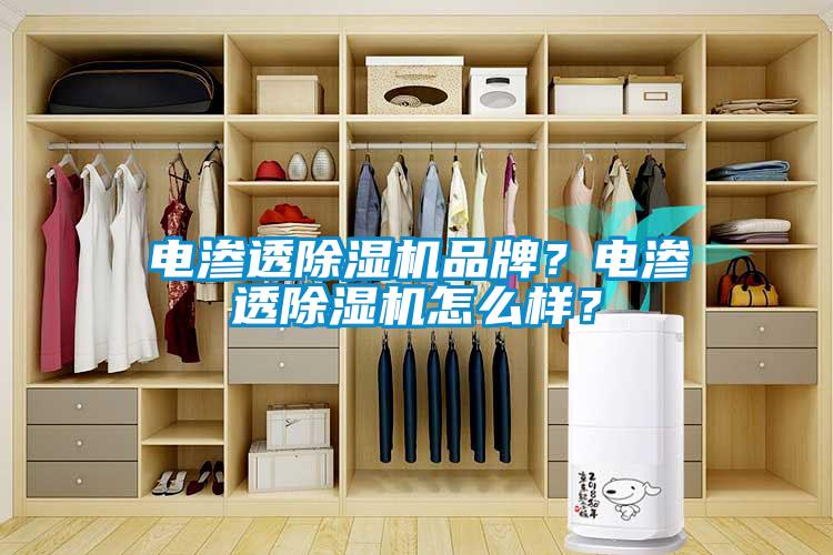 電滲透除濕機品牌？電滲透除濕機怎么樣？
