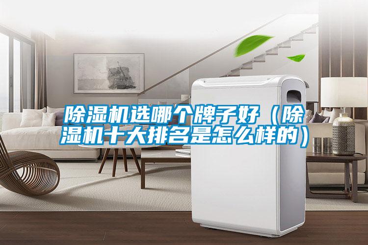 除濕機選哪個(gè)牌子好（除濕機十大排名是怎么樣的）