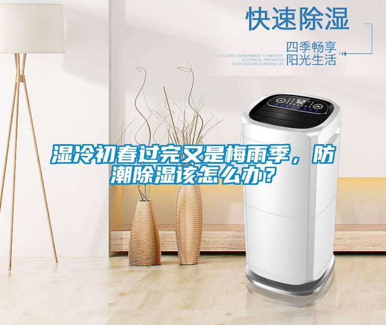 濕冷初春過(guò)完又是梅雨季，防潮除濕該怎么辦？