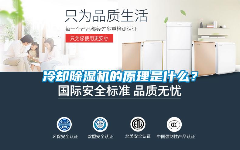 冷卻除濕機的原理是什么？
