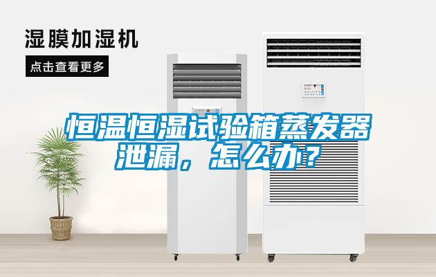 恒溫恒濕試驗箱蒸發(fā)器泄漏，怎么辦？