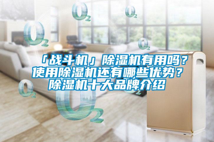 「戰斗機」除濕機有用嗎？使用除濕機還有哪些優(yōu)勢？除濕機十大品牌介紹