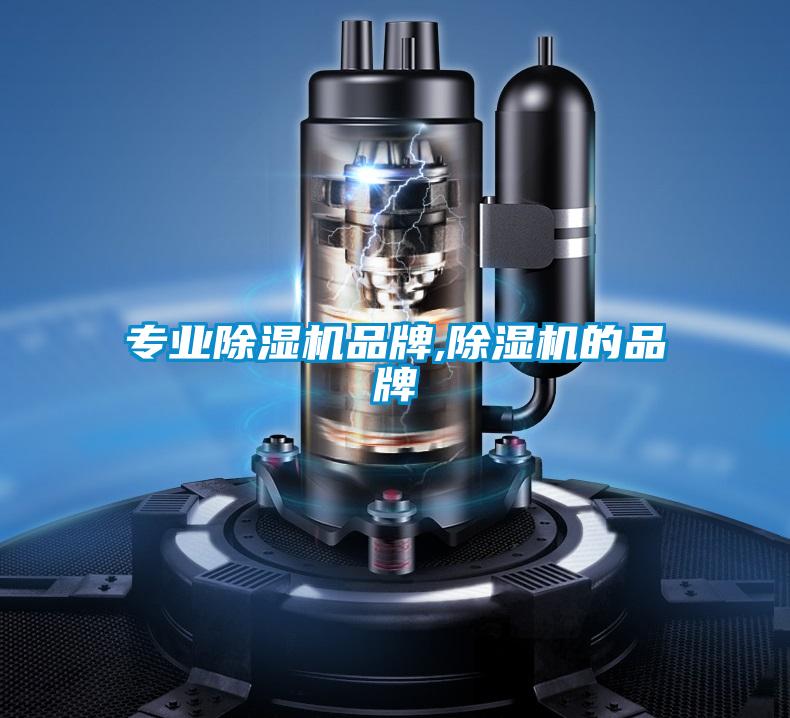 專(zhuān)業(yè)除濕機品牌,除濕機的品牌