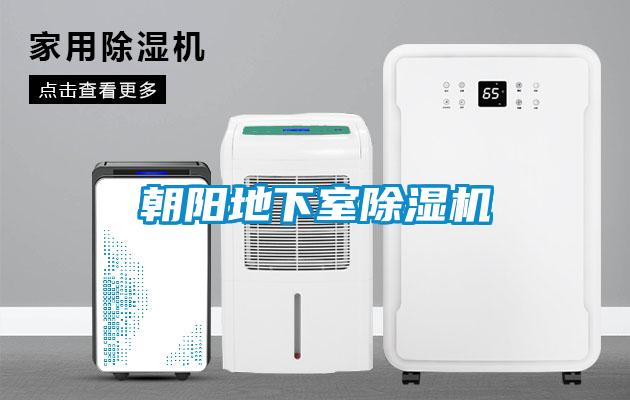朝陽(yáng)地下室除濕機