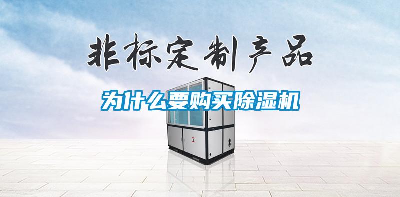 為什么要購買(mǎi)除濕機