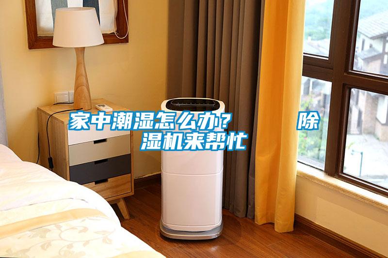 家中潮濕怎么辦？    除濕機來(lái)幫忙