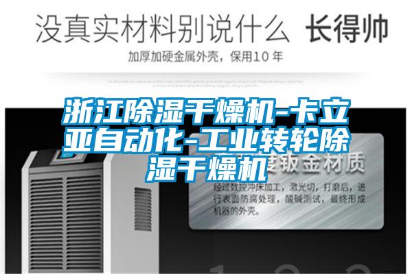 浙江除濕干燥機-卡立亞自動(dòng)化-工業(yè)轉輪除濕干燥機