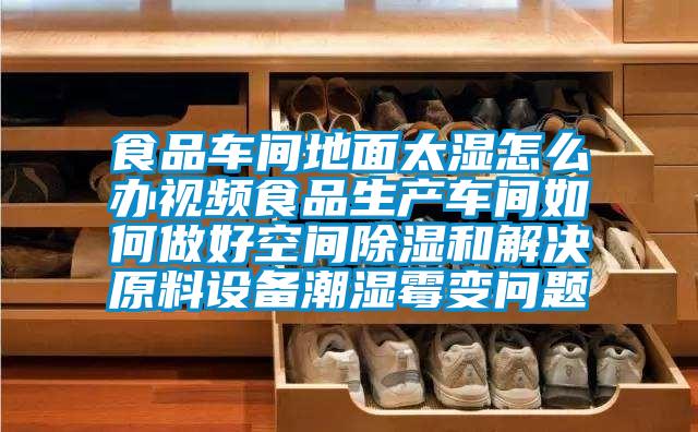 食品車(chē)間地面太濕怎么辦視頻食品生產(chǎn)車(chē)間如何做好空間除濕和解決原料設備潮濕霉變問(wèn)題
