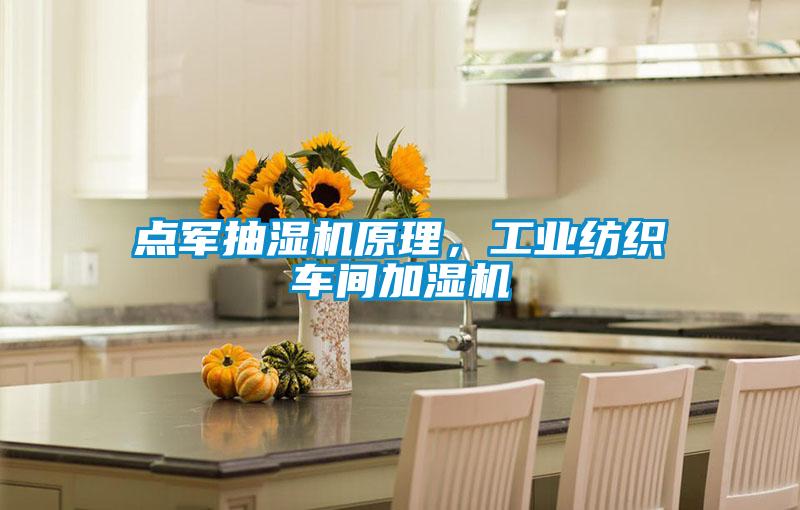 點(diǎn)軍抽濕機原理，工業(yè)紡織車(chē)間加濕機