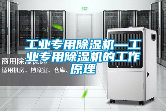 工業(yè)專(zhuān)用除濕機—工業(yè)專(zhuān)用除濕機的工作原理