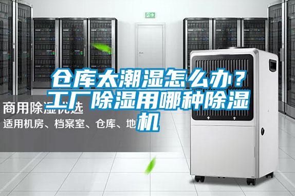 倉庫太潮濕怎么辦？工廠(chǎng)除濕用哪種除濕機