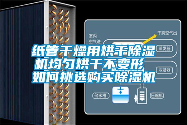 紙管干燥用烘干除濕機均勻烘干不變形 如何挑選購買(mǎi)除濕機