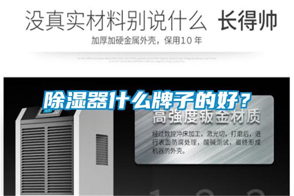 除濕器什么牌子的好？