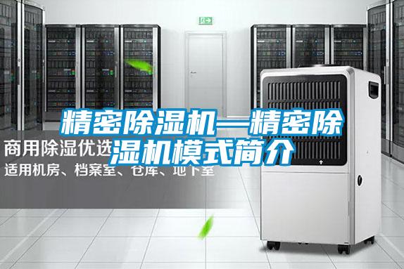 精密除濕機—精密除濕機模式簡(jiǎn)介