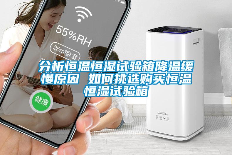 分析恒溫恒濕試驗箱降溫緩慢原因 如何挑選購買(mǎi)恒溫恒濕試驗箱