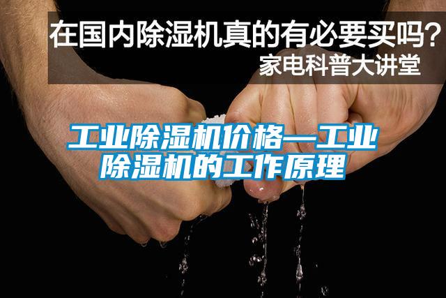 工業(yè)除濕機價(jià)格—工業(yè)除濕機的工作原理