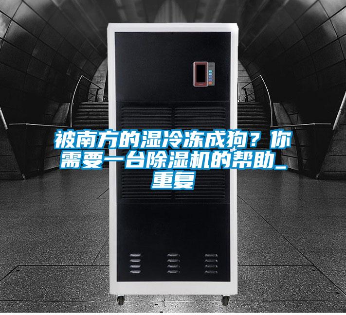 被南方的濕冷凍成狗？你需要一臺除濕機的幫助_重復