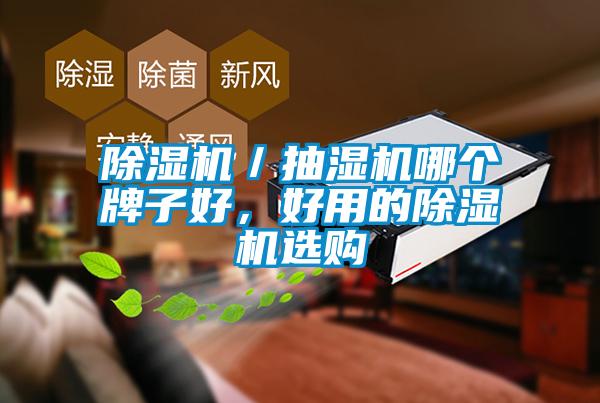 除濕機／抽濕機哪個(gè)牌子好，好用的除濕機選購