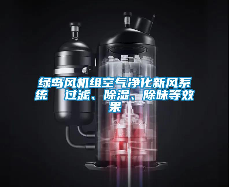 綠島風(fēng)機組空氣凈化新風(fēng)系統  過(guò)濾、除濕、除味等效果