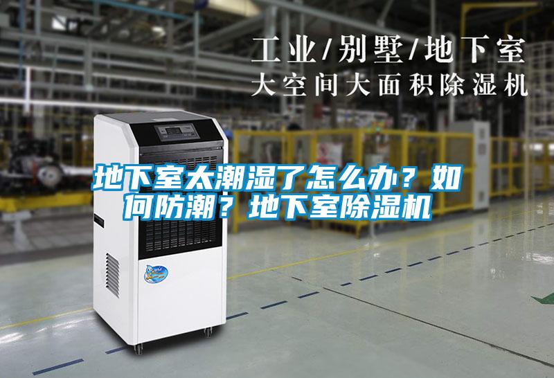 地下室太潮濕了怎么辦？如何防潮？地下室除濕機