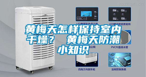 黃梅天怎樣保持室內干燥？ 黃梅天防潮小知識