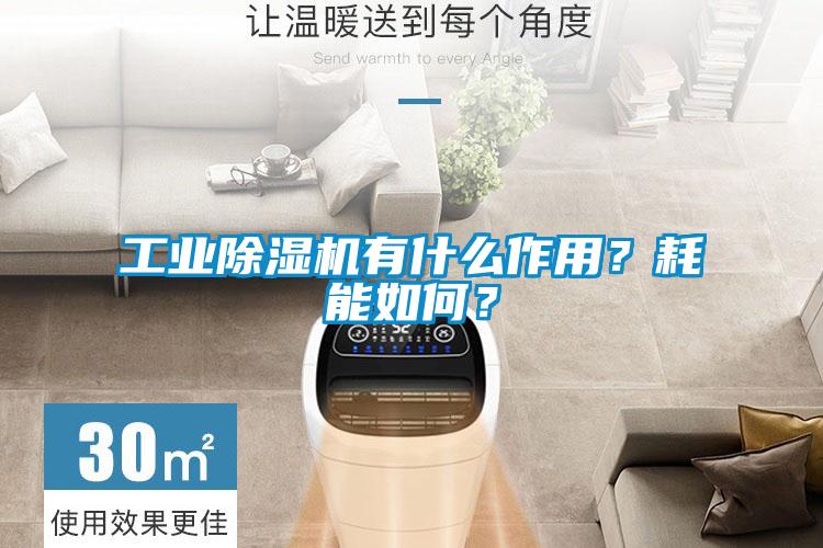 工業(yè)除濕機有什么作用？耗能如何？