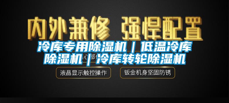 冷庫專(zhuān)用除濕機｜低溫冷庫除濕機｜冷庫轉輪除濕機