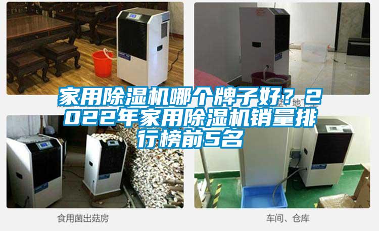 家用除濕機哪個(gè)牌子好？2022年家用除濕機銷(xiāo)量排行榜前5名