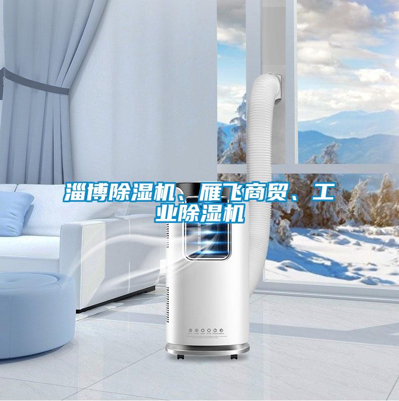淄博除濕機、雁飛商貿、工業(yè)除濕機