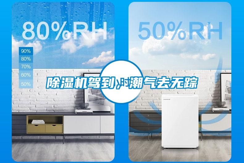 除濕機駕到，潮氣去無(wú)蹤