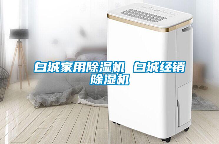 白城家用除濕機 白城經(jīng)銷(xiāo)除濕機