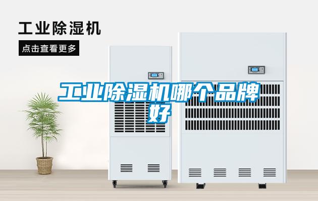 工業(yè)除濕機哪個(gè)品牌好