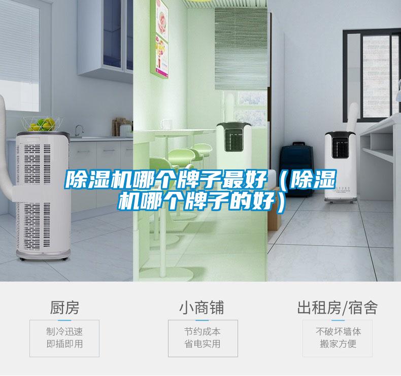 除濕機哪個(gè)牌子最好（除濕機哪個(gè)牌子的好）