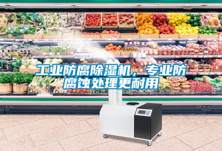 工業(yè)防腐除濕機，專(zhuān)業(yè)防腐蝕處理更耐用