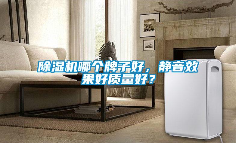 除濕機哪個(gè)牌子好，靜音效果好質(zhì)量好？