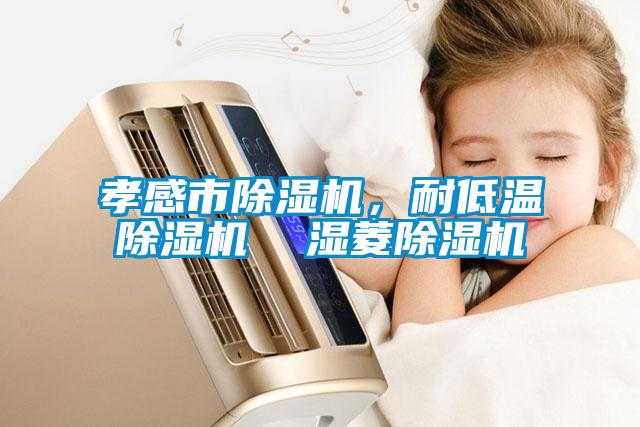 孝感市除濕機，耐低溫除濕機  濕菱除濕機