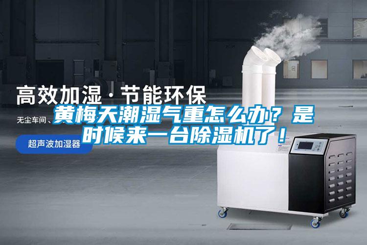 黃梅天潮濕氣重怎么辦？是時(shí)候來(lái)一臺除濕機了！